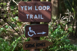 Yew loop trail sign with wheelchair symbol below