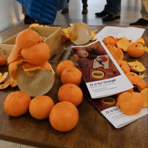 An O is for Orange brochure on a table with oranges and orange peels.