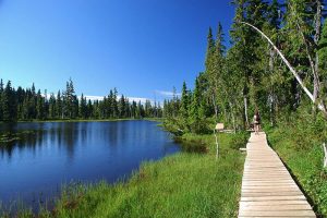 A hiking trail next to a lake